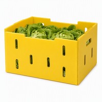 Caisse en plastique ondulé jaune PP de qualité alimentaire, robuste, pour le transport de laitues fraîches et de légumes en ferme