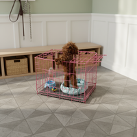 Cage pour chien pliable robuste de haute qualité avec cadre en fer, fermeture à bouton-pression, double porte, plateau en plastique thermolaqué, Easy Box
