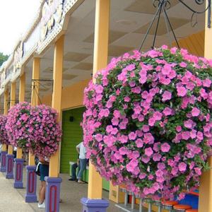 Pot de fleurs suspendu, pot de jardin suspendu, pot de plantes suspendu, panier de jardin suspendu en plastique, pot de fleurs suspendu en plastique de Chine - Product Image 2