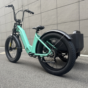 Vente en Gros d'Usine OEM Tricycle Électrique Rétro Style Chopper avec Side-Car pour Animaux de Compagnie, Idéal pour Voyager - Product Image 3