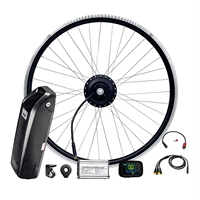 Kit Moteur sans Balais et sans Engrenage pour Vélo Électrique DIY / Kit de Conversion Moteur Électrique pour Vélo Léger et Facile à Transporter