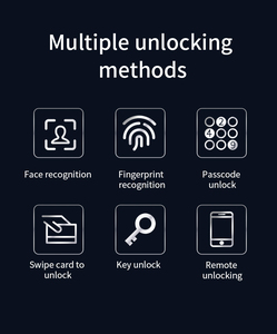 Qleung图雅应用遥控视频通话智能锁带脸掌指纹识别卡代码钥匙解锁安全家庭 - Product Image 4