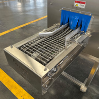 Machine à écailler le poisson automatique à haute efficacité avec pompe à eau haute pression, équipement d'écaillage du poisson