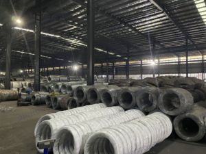 Оцинкованная проволока, оцинкованная проволока 0,2 мм, оцинкованная проволока для клеток для птиц - Product Image 5