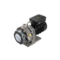 GWSP75 pompe à vide à défilement par fusion laser à faible bruit et à faible énergie sans entretien et sans huile, pompe à défilement sans huile