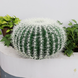 Ornements de <span class=keywords><strong>cactus</strong></span> succulents Grandes plantes de <span class=keywords><strong>cactus</strong></span> artificielles <span class=keywords><strong>pour</strong></span> décoration intérieure et extérieure - Product Image 3