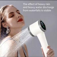 Douche de camping portable d'urgence avec pompe électrique rechargeable, affichage du niveau de batterie, capacité de 4 L, sac étanche