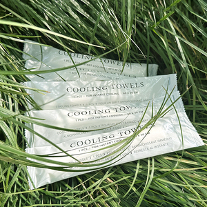 Serviette rafraîchissante jetable extra grande taille à la menthe lingettes humides emballées individuellement voyage course escalade calme sensation de glace - Product Image 1