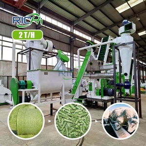 RICHI 2TH להאכיל Pelletizer טחנת קש תירס 3TH דשא אספסת להרהר להאכיל גלולה - Product Image 1