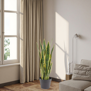 Planta Artificial <span class=keywords><strong>Sansevieria</strong></span> <span class=keywords><strong>Pequeña</strong></span>, Tacto Real, Resistente a los Rayos UV, Arbustos de 60 cm, Decoración de Plástico en Maceta para Decoración del Hogar - Product Image 1