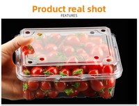Boîte à fruits en PET transparente, pliable et jetable, pour fraises, raisins, cerises – Vente en gros usine