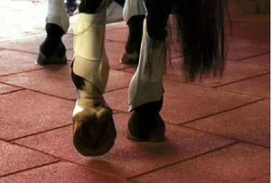 थोक आउटडोर लोचदार टी-आकार के ग्रोव रबर कण फर्श टाइल घोड़े के लिए 50 मिमी मोटी रबर चटाई - Product Image 6