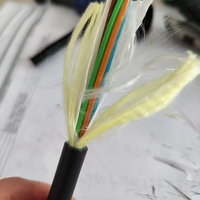 Cable de Fibra Óptica ADSS G652D de 12, 24 y 48 Núcleos, Resistente al Agua y a las Golpes de Aves, en Rollos de 1KM, 2KM y 4KM, Venta al Por Mayor