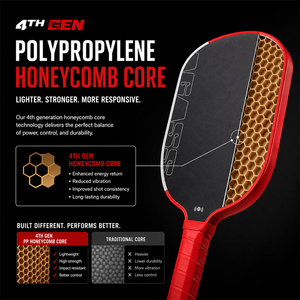 <span class=keywords><strong>Raquette</strong></span> de pickleball en fibre de carbone brute Toray T700 Agasi Pro IV approuvée par l'USAPA, 14 mm 16 mm, noyau en mousse TFP GEN4 - Product Image 2