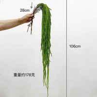 Tanaman Rambat Willow Buatan dengan Cabang Panjang, Dekorasi Bunga untuk Latar Belakang, Bunga Pernikahan, Hiasan Dinding Tanaman