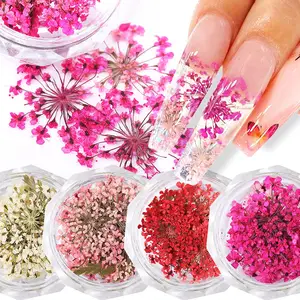 3D getrocknete blumen nägel kunstdekorationen natürliche blumen nagel-reize schmuck-set nagelzubehör für professionelle zubehör