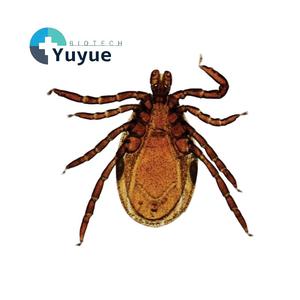 Juego de Portaobjetos Preparados para Microscopio, con Muestras de Parásitos, Garrapatas, Mosquitos y Gusanos, para Enseñanza Biológica y Observación en Laboratorio - Product Image 1