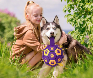 Großhandel Mode Haustier Fußball Hundes pielzeug Hund Kauen Spielzeug Ball Private Label Hundes pielzeug - Product Image 3