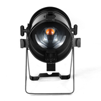 100W IP20 cob blanc chaud/blanc froid zoom led par lumière pour scène théâtre bar concert disco événement