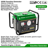 2-Takt 800W kleine Mini tragbare Gasgeneratoren Home Camping Benzin Elektro generator Set Benzin Stromer zeuger zu verkaufen