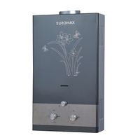 Chauffe-eau instantané sans réservoir à gaz GPL/GN en acier inoxydable, type cheminée, 10L/12L, vente en gros d'usine pour la maison
