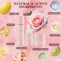 Marque privée Végétalien Biologique Pour Tous Les Types Rose Niacinamide Coffret de Soins Rajeunissant Ensemble Visage Éclaircissant