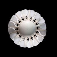 LING-MEI 90PRO BWF (12 pièces) Volant de badminton Plume d'oie Navette Birdies LING MEI 90 PRO LINGMEI pour International Tour CN
