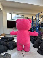 Costume de mascotte gonflable de personnage de dessin animé en vente chaude, costume de mascotte en peluche douce personnalisé pour adulte pour la publicité