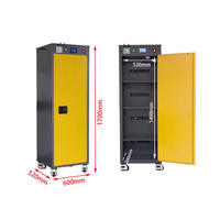 Armoire de stockage de batterie ignifuge IBC16 pour l'énergie renouvelable