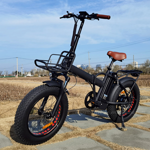 Vélo <span class=keywords><strong>pliant</strong></span> électrique Offre Spéciale 750W 20 pouces gros pneu vélo pliable électronique neige/plage nouveau vélo E - Product Image 4