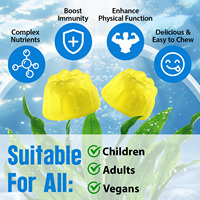 Hatmanlabs 60 Gummies Suppléments de Mousse de Mer Gummies de Mousse de Mer avec Huile de Nigelle Ashwagandha Curcuma Racine de Bardane