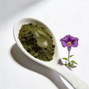 Pigment céramique en oxyde <span class=keywords><strong>de</strong></span> <span class=keywords><strong>chrome</strong></span>(III) <span class=keywords><strong>de</strong></span> qualité céramique, trioxde <span class=keywords><strong>de</strong></span> <span class=keywords><strong>chrome</strong></span> Cr2O3 en poudre - Product Image 3