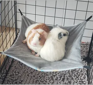 <span class=keywords><strong>Hamac</strong></span> double face pour petit animal de compagnie Hamster d'été en soie glacée respirante pour <span class=keywords><strong>furet</strong></span> sucre planeur cochon d'inde lapin accessoires - Product Image 2