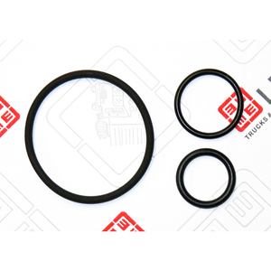 Assortimento Made in Italy, O-ring Adatto per IVECO 76132.05 Altri Guarnizioni - Product Image 1