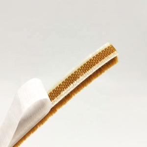 Prix usine brosse coupe-froid à la maison en <span class=keywords><strong>bois</strong></span> bande <span class=keywords><strong>de</strong></span> <span class=keywords><strong>joint</strong></span> <span class=keywords><strong>de</strong></span> <span class=keywords><strong>porte</strong></span> fenêtre <span class=keywords><strong>coulissante</strong></span> <span class=keywords><strong>porte</strong></span> coupe-froid <span class=keywords><strong>de</strong></span> <span class=keywords><strong>porte</strong></span> <span class=keywords><strong>joint</strong></span> anti-poussière - Product Image 4