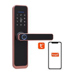 2024 phổ biến nhất nhà điện thoại di động ứng dụng cao công nhận tỷ lệ vân tay kỹ thuật số mật khẩu tuya ttlock khóa cửa thông minh - Product Image 1