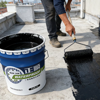 Revêtement acrylique imperméable à base d'eau, haute élasticité, écologique, 20 kg, pour la protection des toits, des murs et des carreaux