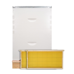 Ruche pour les abeilles Ruches d'abeilles australiennes complètes - Product Image 3