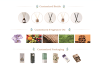 Vente en gros Dernier design Diffuseur d'huile essentielle de roseau aromathérapie Ensemble Diffuseur d'ambre à roseaux Bocaux Diffuseur de parfum à roseaux