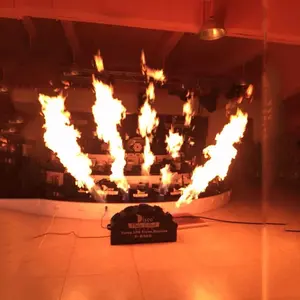 5 Head Stage DMX Control Fire Flame Machine Fire Machine For Stage Effect