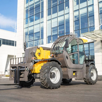 3,5 Tonnen Nennlast Dieselbetriebener Kompakt-Teleskoplader für Landwirtschaft und Bau mit 7m Maximaler Hubhöhe 735 Teleskopstapler