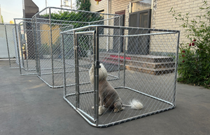 คอกสุนัขแบบเดินเข้าได้ ขนาด 13 <span class=keywords><strong>x</strong></span> <span class=keywords><strong>10</strong></span> ฟุต ทำจากโลหะ พร้อมหลังคาผ้าคลุมระบายอากาศ และซิปปิดลายสัตว์ - Product Image 4