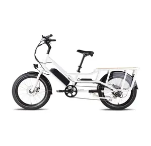 Top selling dual battery 48v 750w e bike alloy aluminum electric cargo bicycle for family