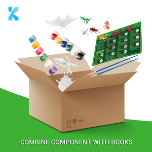 Kits de peinture sur tige, bricolage, boite de 10 pièces, modèle éducatif, personnalisé, kits d'artisanat, art et dessin, jouets pour <span class=keywords><strong>papillon</strong></span> - Product Image 5