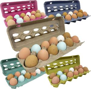 Cartón de huevos con logotipo impreso personalizado, cartón de huevos de pato reciclado desechable, cartón de huevos barato para pollo - Product Image 5