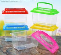 Table basse d'été pour poissons, Mini Aquarium, poissons rouges, animaux de compagnie