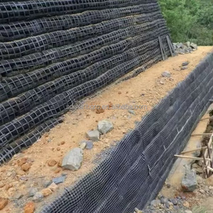 Chất lượng cao polyester <span class=keywords><strong>geogrid</strong></span> hai trục geogid vật nuôi geogrids cho bờ sông gia cố tường chắn - Product Image 4