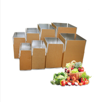 Boîte en carton d'isolation en feuille d'aluminium conçue en usine pour les boîtes en papier d'emballage alimentaire pour le transport de congélation des aliments