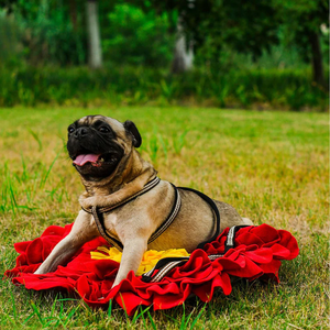 Tapis de reniflement pour chiens, tapis d'alimentation lente, jeu de puzzle pour chiots, jouet d'entraînement et d'alimentation pour chiens - Product Image 6