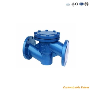 Vanne de contrôle à flotteur en fonte, acier inoxydable, laiton, avec poignée pivotante et contrôleur d'angle - Product Image 4